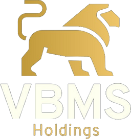VBMS Holdings Inc.
